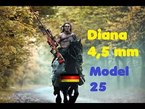 Airgun Diana Model 25 - Eternal Air Rifle 90 Years old