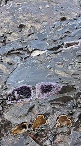 Hunt amethyst | Appreciation of Rough Crystal