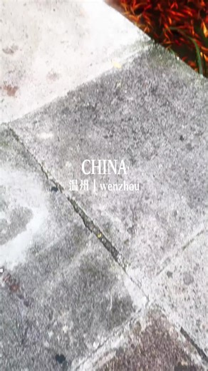 ✨Step into the exquisite fairyland of Wenzhou. In the release pond in front of Taogong Cave, koi fish swim leisurely in the waves; in the cave of Longpu Immortal Cave, cool mist wraps the tenderness of stalactites; the evening breeze in Wenzhou’s Wangxian Valley blows through cliff wooden houses and green mountains and streams～At this moment, the heart is gently wrapped by the beauty of Wenzhou. #China #Wenzhou #ChinaTravel #WenzhouWangxianValley #TaogongCave #KoiFishChina #CaveExploration #Expl