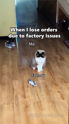 When l lose orders due to factory issues be like:#dropshipping #makemoneyonline #business