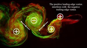 Color coding vortices to understand flapping wing propulsion