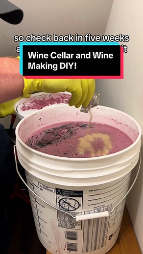 What started as a small project to turn a closet into a wine cellar, evolved into a wine making journey. We tried to use recycled materials for the whole project. The floor was purchased, but the shelves are closet doors. The dowels for the supports were already in the shop. The whole project cost under $100, not including the wine! Check back in 14 days to see if the wine fermented! #diy #lifehackvideo #lifehackstiktok #homerenovation #doityourself #tools #winetiktok🍷