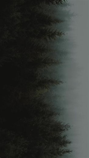 Beautiful bengal#exoticpets #nicemark #chillin @sshaixrahhh