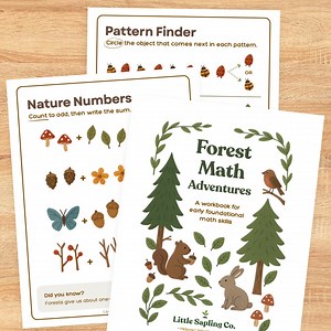 Forest Math Adventures, Early Basic Math Workbook for Kids - Etsy