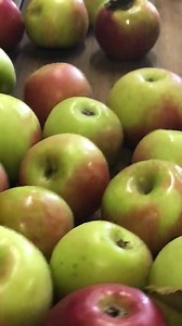 Winesap apples are perfect for all your holiday baking or applesauce. We just made some today!! | Hillcrest Orchards