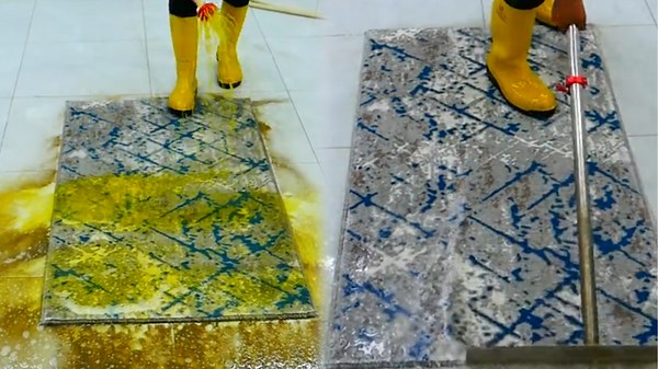 Masterful Rug Cleaning with Expert Techniques and Tools