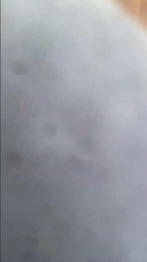 Prince Eric 2 (Shrek 2) part 14 - “Changes!”