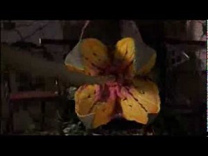 Jumanji (Animal Style) part 13 - Crawling Vines and Deadly Plants