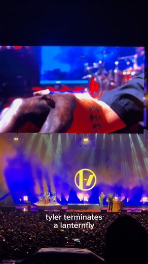 becca ツ on Instagram: "last night in burgettstown featured singing and bug termination"