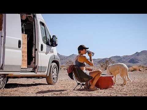 Beauty Within Chaos | VAN LIFE