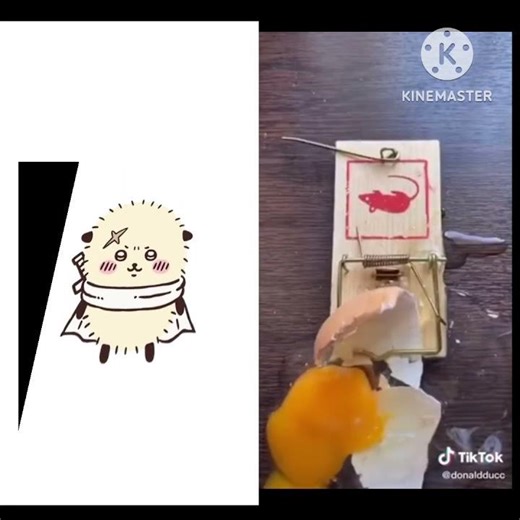 Rakko and the mouse trap