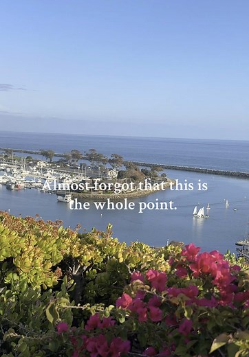 Discover the Beauty of California's Ocean