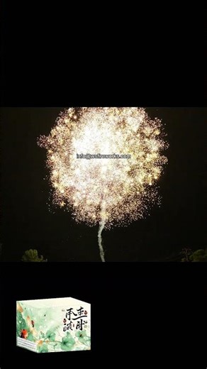 Any effect can produce battery & compound liuyang manufacturer#fireworks #china#crackers #love #rap