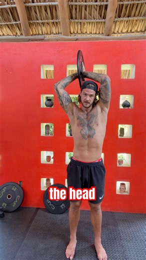 Plate Compression Halo