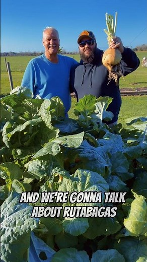 My Dad Loves Growing Rutabagas!