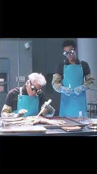 The Terrifying Moment: Artificially Hatching a Xenomorph – No Casualties, Only Fear! 😱👽