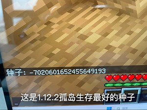 我的世界Java1.12.2孤岛生存最好的种子