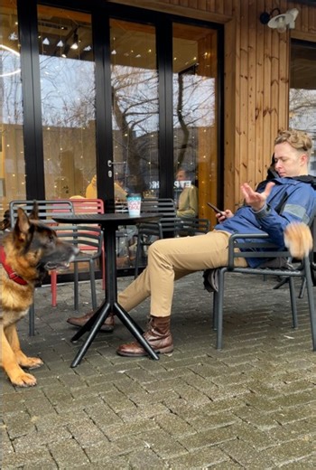 An irresponsible person was taught manners in public | Bored Panda Art