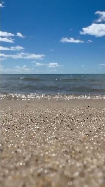 Grounded by the Sea Sand-Level Beach Waves for Sleep, Study & Relaxation (Original Content).mp4