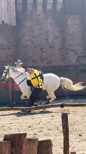 Cascadeur et cheval blanc au Puy du Fou