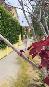 Catching my cheating Wife 😱 Husband follows wife and confronts her. #cheaters #viralvideo #foryou #surprise 🎬 This video was produced by Network Media and Nick K | Chaos Crew