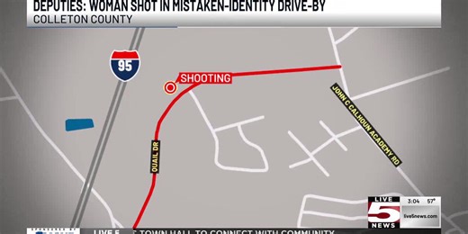 VIDEO: Colleton County deputies say woman hurt in mistaken-identity drive-by shooting