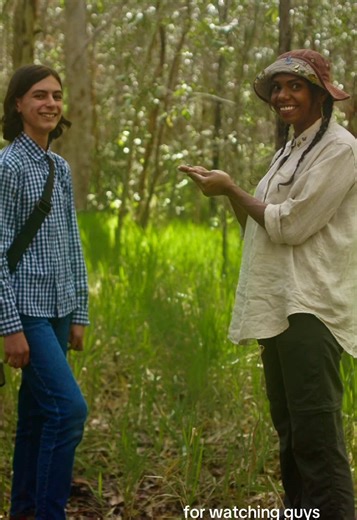 Protecting Insects and Ecosystems: A Year Later