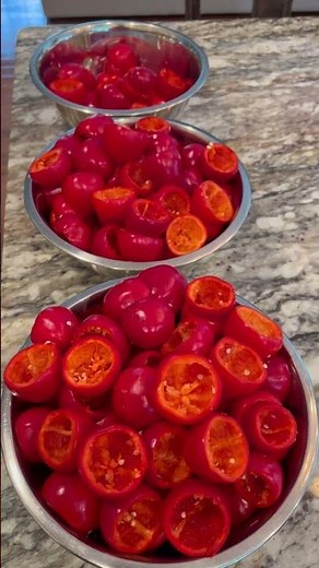Canning hot cherry peppers to last me the whole year #canning #canningandpreserving #food