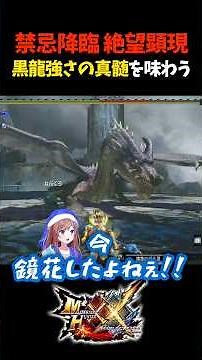 Is this the pinnacle of Monster Hunter...【Monster Hunter Generations Ultimate】【Monster Hunter XX】...