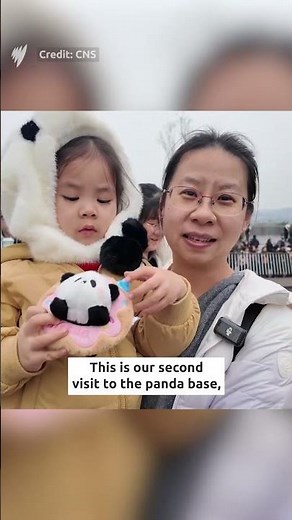 30 giant panda cubs make public debut in China