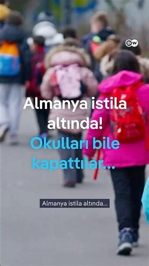 Almanya istila altında, tırtıl neden tehlikeli?