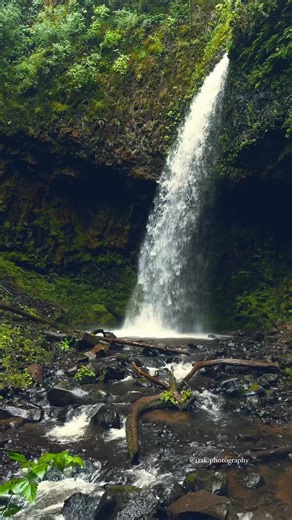The waterfalls of the Columbia River Gorge create a beautiful scene as they drop through lush green forest, blend with drifting mist, and fill the Oregon landscape with a calm, enchanting energy. 📍Pacific Northwest 📸 @izak.photography #beautifuldestinations #pnw #nature #pacificnorthwest #waterfalls #pnwexplored #forest #waterfalllovers #discoverearth #divineforest #pnwphotographer #pnwwonderland #pnwadventures #pnwcollective #pnwhiking #pnwphotography #pnwlife | Izak Photography
