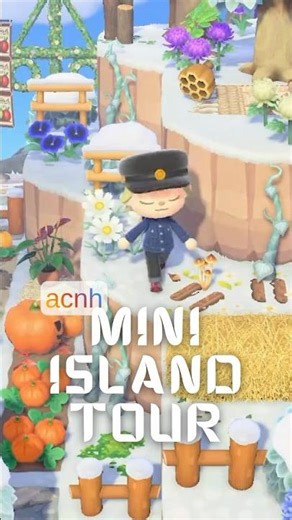 acnh mini island tour✨🐸 #acnhisland #acnhinspo #acnhshorts #shorts #acnh #animalcrossing #gaming