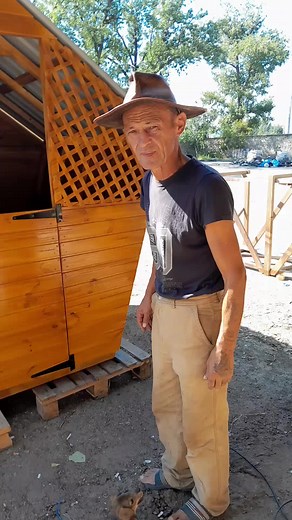 Exploring Rustic Cabins in Nature