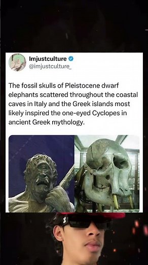The fossil skulls of Pleistocene dwarf elephants scattered throughout the coastal caves in Italy
