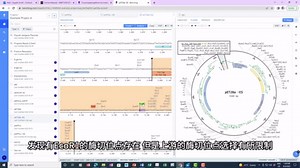 如何使用Benchling在线进行引物设计和克隆模拟（1）