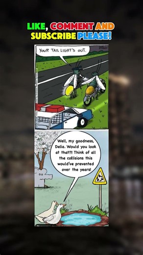 Humourous Photos #17