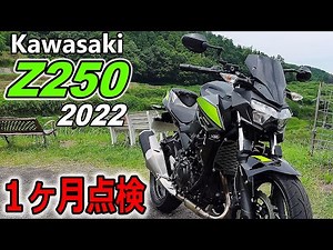 Kawasaki カワサキ Z250【2022】一ヶ月点検＆ミラー交換