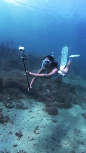 Introducing the Insta360 X4: Your Ultimate 8K 360° Adventure Camera