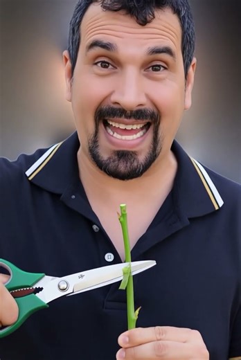 HOW TO CONVERT A PLANT INTO 100