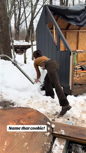 49K views · 599 reactions | Alaskin milled this 200lb cookie now its sbout 150 after the bandsaw #onsitemilling #bandsawmill #husqvarnachainsaw #logging #sawmilling #loggers~ #sawmill #woodworking #woodworkinggirl #woodlandmills #chainsaw | Neya Lenry | Facebook