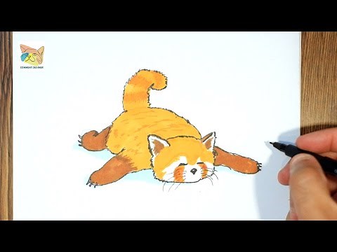 comment dessiner un panda roux etape par etape