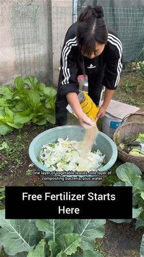 Never Buy Fertilizer Again! Turn Kitchen Waste Into Garden Gold #Composting #VegetableGardening