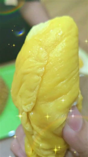Durian siPapi Garden depok #durian #makandurian