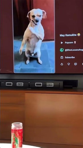 😂😂