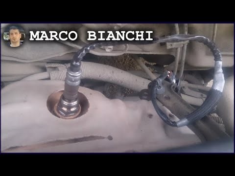 Codice P2404: Risolvi il Problema del Circuito di Rilevamento Perdite Emissioni