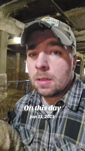 Custom Splint for Lamb's Contracted Tendons