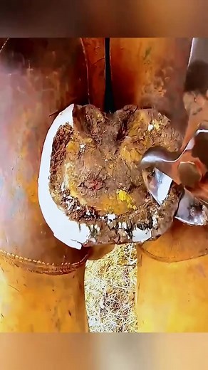 26M views · 10K reactions | The horse is crying z | Angela Love | Facebook