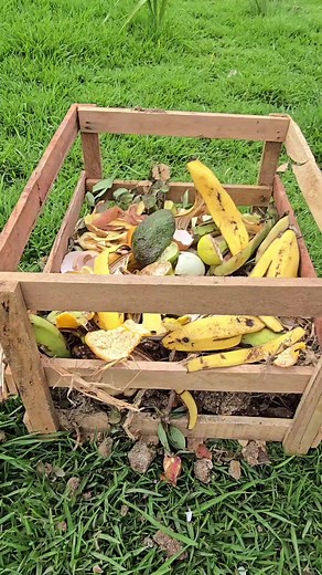 Create a Mini Compost Bin for Sustainable Gardening