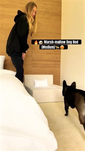 🔥🐶 DIY Dog Bed Making at Home🦮😍Super Comfy DIY Dog Bed in Minutes!🦴❤️💯 #sdney #austrila